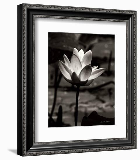 Lotus Flower VII-Debra Van Swearingen-Framed Photo