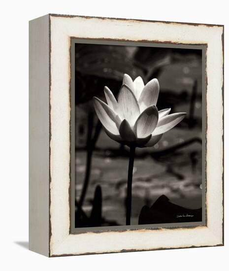 Lotus Flower VII-Debra Van Swearingen-Framed Stretched Canvas