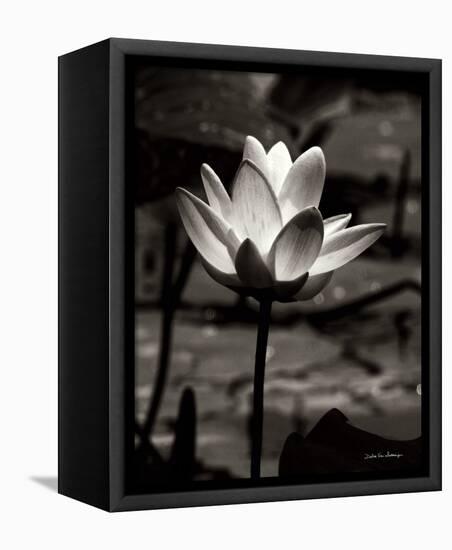 Lotus Flower VII-Debra Van Swearingen-Framed Stretched Canvas