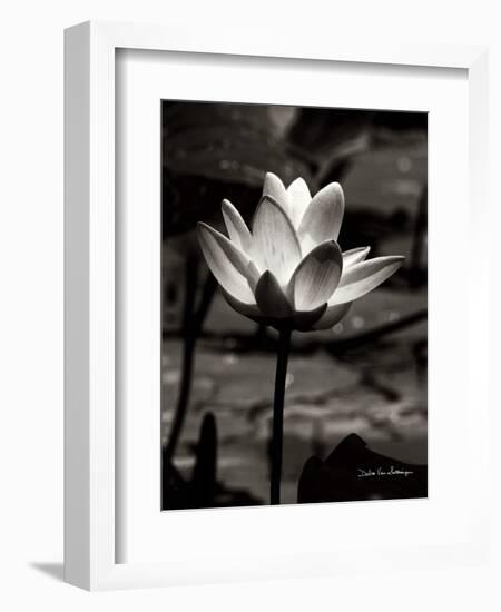 Lotus Flower VII-Debra Van Swearingen-Framed Art Print