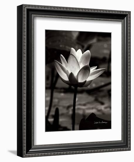 Lotus Flower VII-Debra Van Swearingen-Framed Art Print