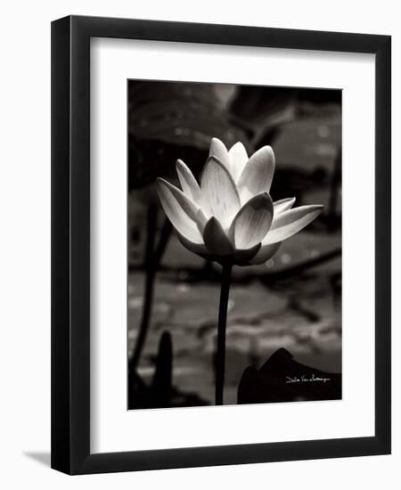 Lotus Flower VII-Debra Van Swearingen-Framed Premium Giclee Print