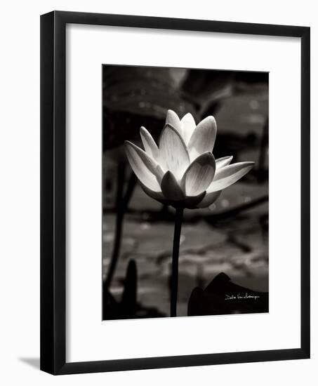 Lotus Flower VII-Debra Van Swearingen-Framed Art Print