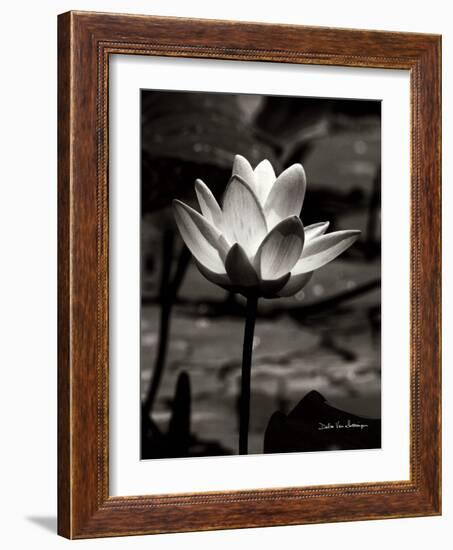 Lotus Flower VII-Debra Van Swearingen-Framed Art Print