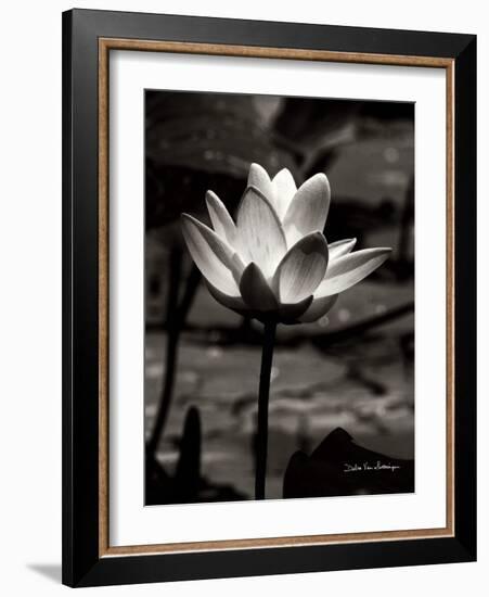 Lotus Flower VII-Debra Van Swearingen-Framed Art Print