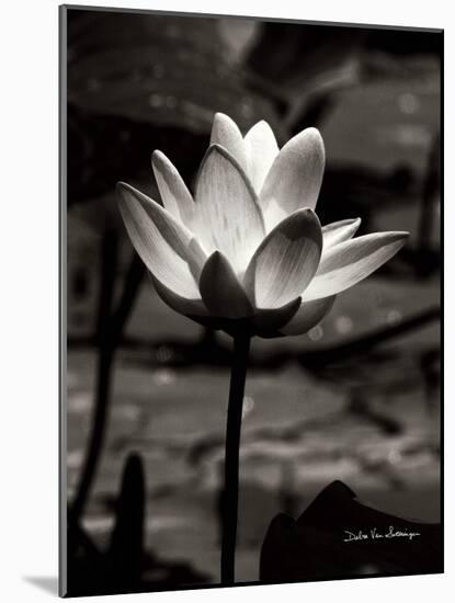 Lotus Flower VII-Debra Van Swearingen-Mounted Art Print