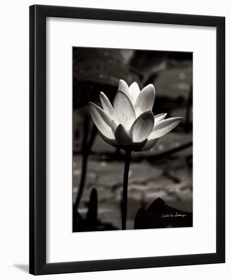 Lotus Flower VII-Debra Van Swearingen-Framed Art Print