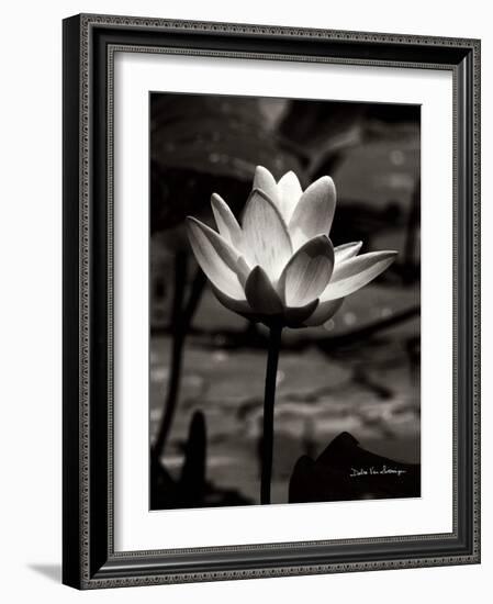 Lotus Flower VII-Debra Van Swearingen-Framed Art Print