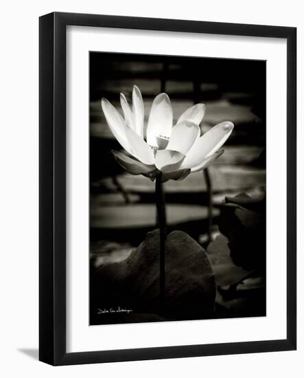 Lotus Flower VIII-Debra Van Swearingen-Framed Art Print