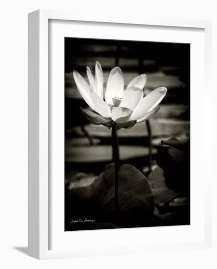 Lotus Flower VIII-Debra Van Swearingen-Framed Art Print