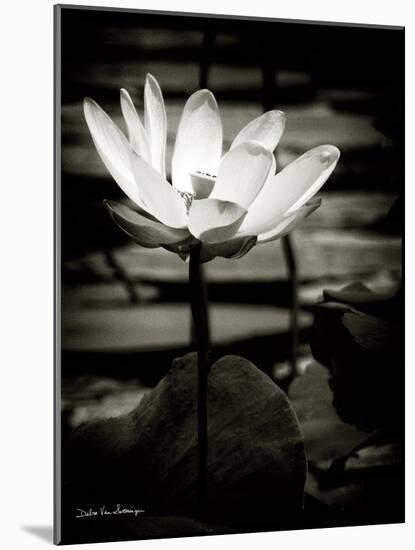 Lotus Flower VIII-Debra Van Swearingen-Mounted Art Print