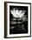 Lotus Flower VIII-Debra Van Swearingen-Framed Art Print