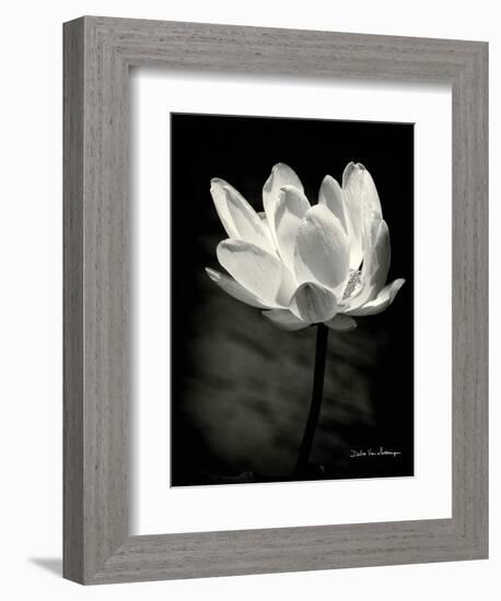 Lotus Flower X-Debra Van Swearingen-Framed Art Print