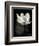 Lotus Flower X-Debra Van Swearingen-Framed Art Print