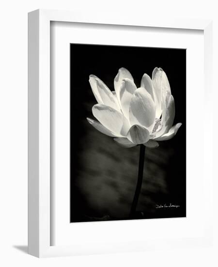 Lotus Flower X-Debra Van Swearingen-Framed Art Print