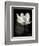 Lotus Flower X-Debra Van Swearingen-Framed Premium Giclee Print