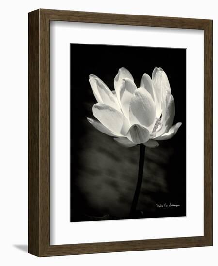 Lotus Flower X-Debra Van Swearingen-Framed Premium Giclee Print