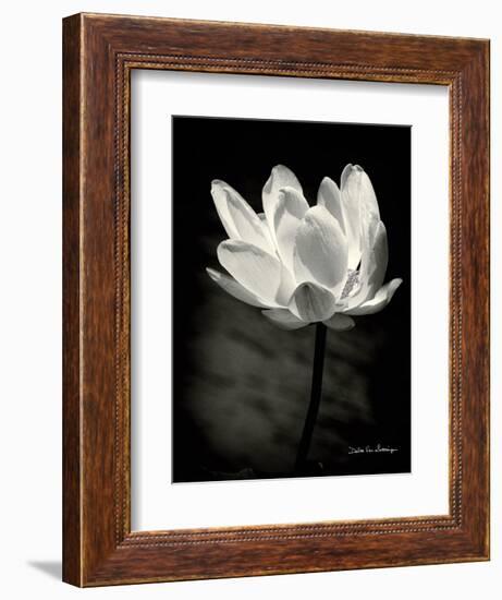 Lotus Flower X-Debra Van Swearingen-Framed Premium Giclee Print