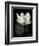 Lotus Flower X-Debra Van Swearingen-Framed Premium Giclee Print