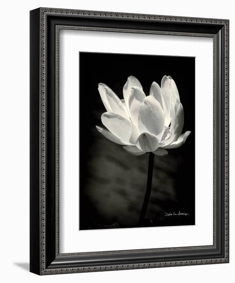 Lotus Flower X-Debra Van Swearingen-Framed Premium Giclee Print