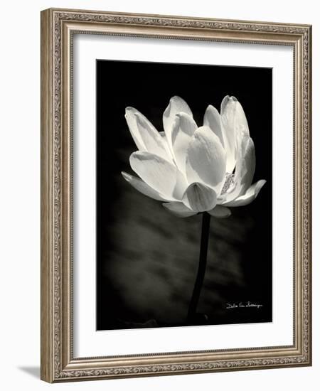 Lotus Flower X-Debra Van Swearingen-Framed Art Print