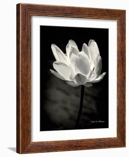 Lotus Flower X-Debra Van Swearingen-Framed Art Print