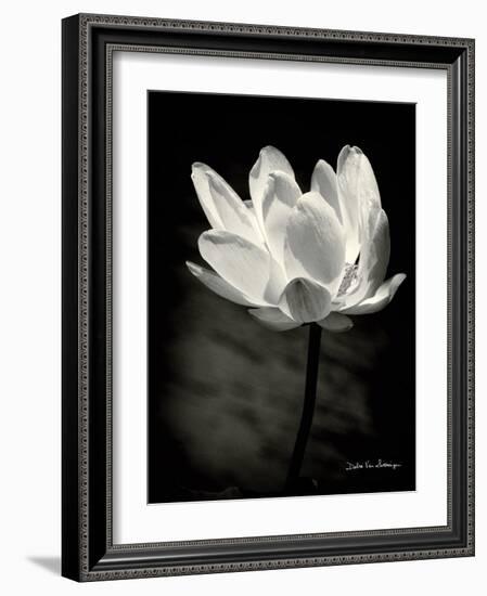 Lotus Flower X-Debra Van Swearingen-Framed Art Print