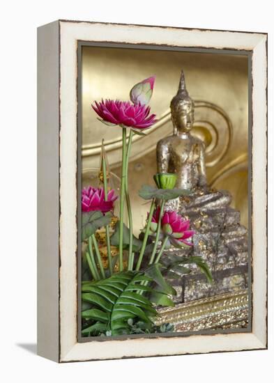 Lotus Flowers, Golden Buddha Statue, Phra Mongkonbophit, Ayutthaya, Thailand-Cindy Miller Hopkins-Framed Premier Image Canvas