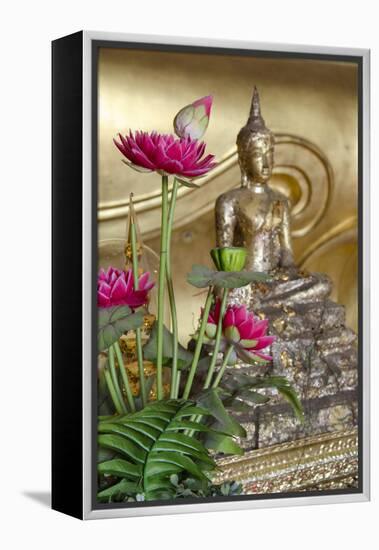 Lotus Flowers, Golden Buddha Statue, Phra Mongkonbophit, Ayutthaya, Thailand-Cindy Miller Hopkins-Framed Premier Image Canvas