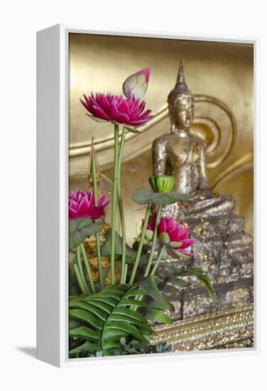 Lotus Flowers, Golden Buddha Statue, Phra Mongkonbophit, Ayutthaya, Thailand-Cindy Miller Hopkins-Framed Premier Image Canvas