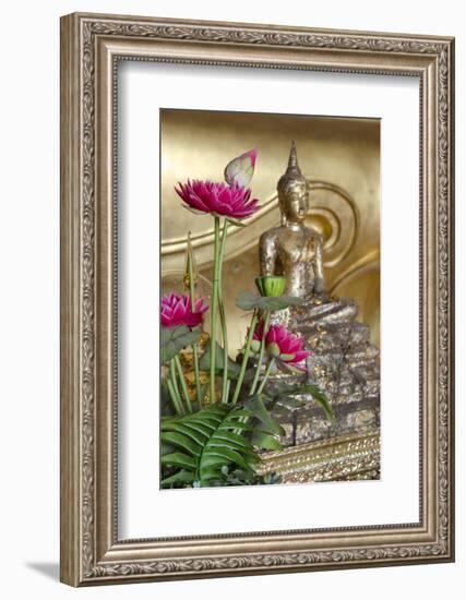 Lotus Flowers, Golden Buddha Statue, Phra Mongkonbophit, Ayutthaya, Thailand-Cindy Miller Hopkins-Framed Photographic Print