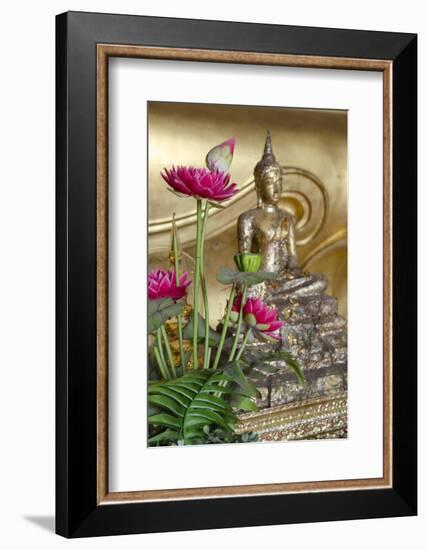 Lotus Flowers, Golden Buddha Statue, Phra Mongkonbophit, Ayutthaya, Thailand-Cindy Miller Hopkins-Framed Photographic Print