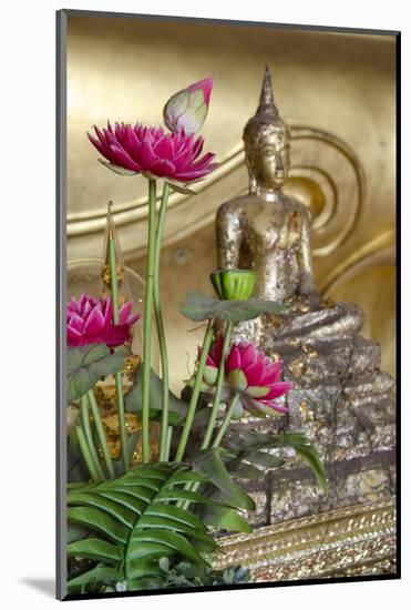 Lotus Flowers, Golden Buddha Statue, Phra Mongkonbophit, Ayutthaya, Thailand-Cindy Miller Hopkins-Mounted Photographic Print