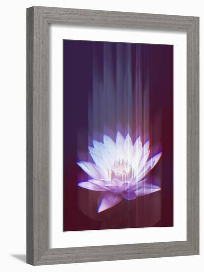 Lotus Glitch-null-Framed Art Print