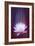 Lotus Glitch-null-Framed Art Print