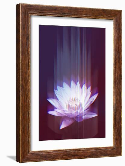 Lotus Glitch-null-Framed Art Print