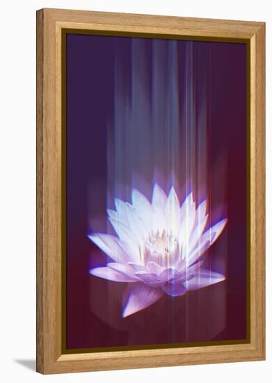 Lotus Glitch-null-Framed Stretched Canvas