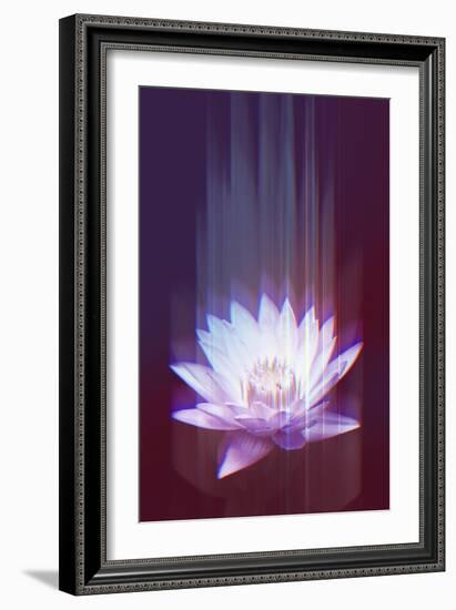 Lotus Glitch-null-Framed Premium Giclee Print