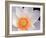 Lotus I-Jim Christensen-Framed Photographic Print