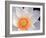 Lotus I-Jim Christensen-Framed Photographic Print