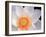 Lotus I-Jim Christensen-Framed Photographic Print