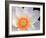 Lotus I-Jim Christensen-Framed Photographic Print