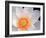 Lotus I-Jim Christensen-Framed Photographic Print