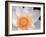 Lotus I-Jim Christensen-Framed Photographic Print