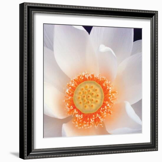 Lotus I-Jim Christensen-Framed Photo