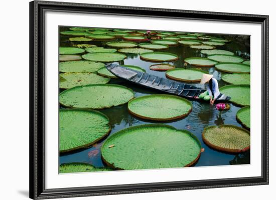 Lotus Leaves At Dong Thap-Nhiem Hoang The-Framed Giclee Print