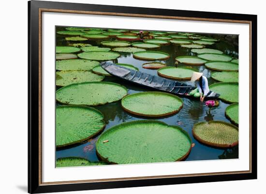 Lotus Leaves At Dong Thap-Nhiem Hoang The-Framed Giclee Print