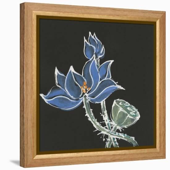 Lotus on Black VI-Chris Paschke-Framed Stretched Canvas