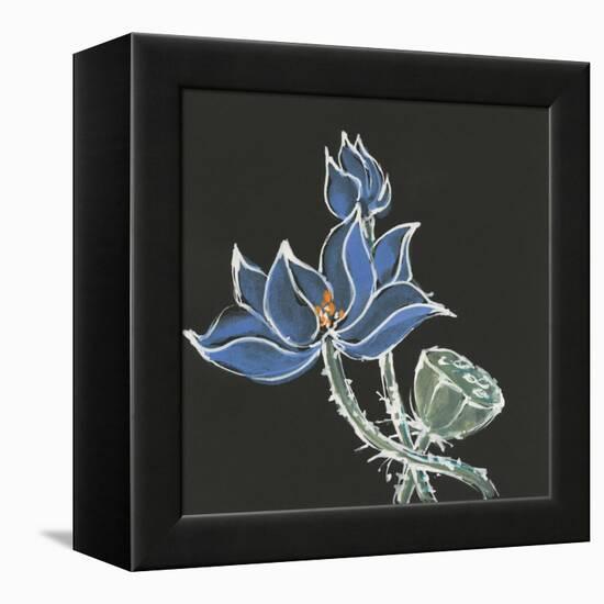 Lotus on Black VI-Chris Paschke-Framed Stretched Canvas