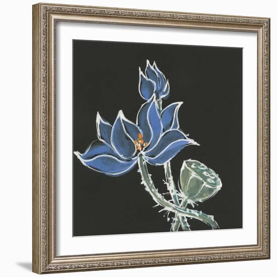 Lotus on Black VI-Chris Paschke-Framed Art Print